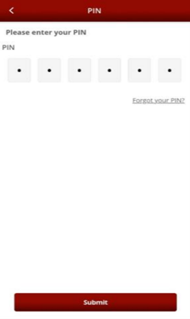 Step 4: Enter your Mobile PIN